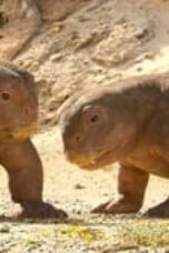 Nonton Film Life on Our Planet Season 1 Episode 4 Bioskop21