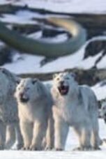 Nonton Film Life on Our Planet Season 1 Episode 8 Bioskop21