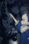 Nonton Film GHOST CONCERT : missing Songs Season 1 Episode 4 Bioskop21