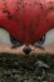 Nonton Film Knuckles Season 1 Episode 1 Bioskop21