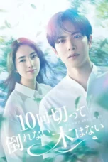 Nonton Film 10 Kai Kitte Taorenai Ki wa Nai (2026) Bioskop21