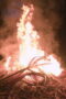 Nonton Film Outlast: The Jungle Season 1 Episode 6 Bioskop21