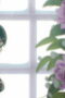 Nonton Film Agents of the Four Seasons Dance of Spring Season 1 Episode 3 Bioskop21